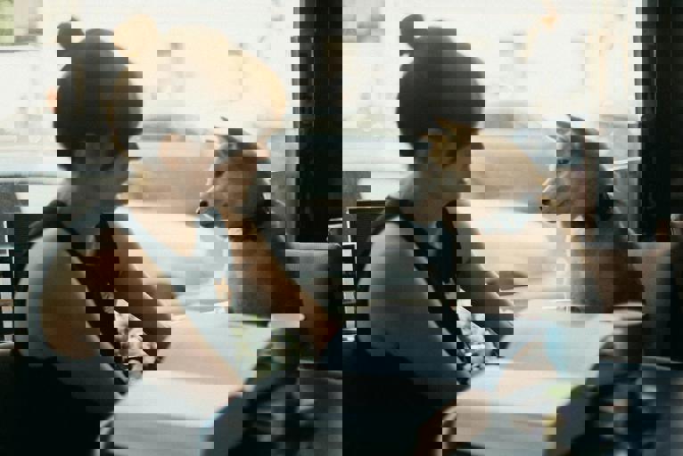 Dog Cafe Trend Gains Momentum as Pet Owners Seek Social Havens With Their Pups